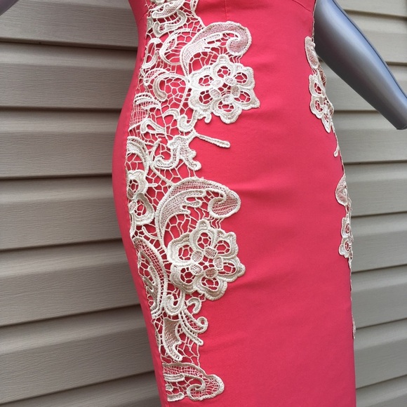 Stunning Bodycon Dress in Pink and Tan Lace - Picture 5 of 7